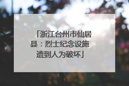 浙江台州市仙居县：烈士纪念设施遭到人为破坏