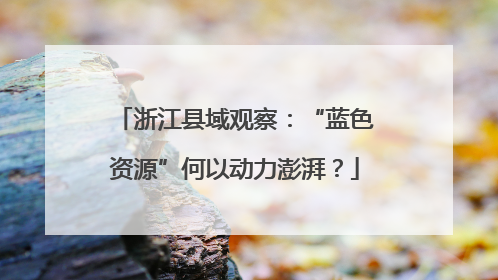 浙江县域观察：“蓝色资源”何以动力澎湃？