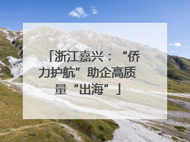 浙江嘉兴：“侨力护航”助企高质量“出海”