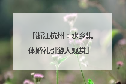 浙江杭州：水乡集体婚礼引游人观赏