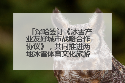 深哈签订《冰雪产业友好城市战略合作协议》，共同推进两地冰雪体育文化旅游高质量发展