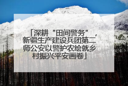 深耕“田间警务”，新疆生产建设兵团第二师公安以警护农绘就乡村振兴平安画卷