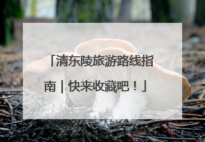 清东陵旅游路线指南｜快来收藏吧！