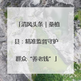 清风头条｜桑植县：精准监督守护群众“养老钱”