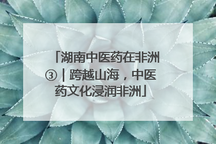 湖南中医药在非洲③｜跨越山海，中医药文化浸润非洲