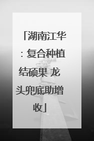 湖南江华：复合种植结硕果 龙头兜底助增收
