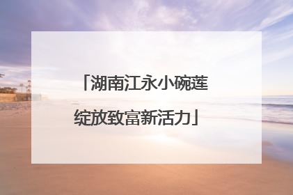 湖南江永小碗莲绽放致富新活力