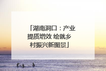 湖南洞口：产业提质增效 绘就乡村振兴新图景
