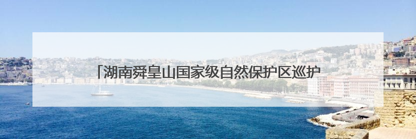 湖南舜皇山国家级自然保护区巡护发现国家二级保护动物——脆蛇蜥