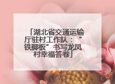 湖北省交通运输厅驻村工作队：“铁脚板”书写龙凤村幸福答卷