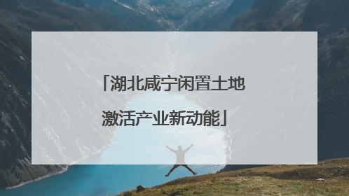 湖北咸宁闲置土地激活产业新动能