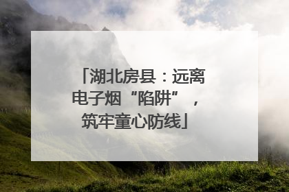 湖北房县：远离电子烟“陷阱”，筑牢童心防线