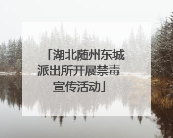 湖北随州东城派出所开展禁毒宣传活动
