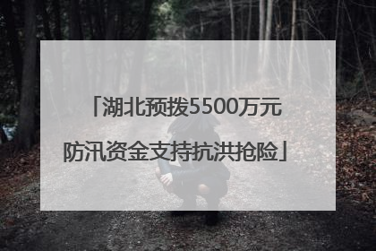 湖北预拨5500万元防汛资金支持抗洪抢险