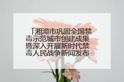 湘潭市巩固全国禁毒示范城市创建成果暨深入开展新时代禁毒人民战争新闻发布会答记者问摘录