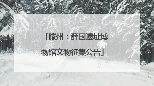 滕州：薛国遗址博物馆文物征集公告