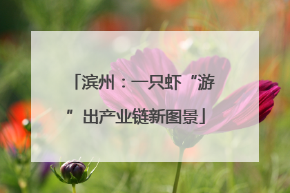滨州:一只虾“游”出产业链新图景