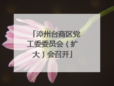 漳州台商区党工委委员会（扩大）会召开
