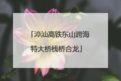 漳汕高铁东山跨海特大桥栈桥合龙