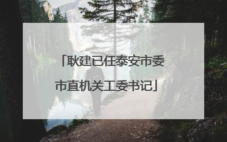 耿建已任泰安市委市直机关工委书记