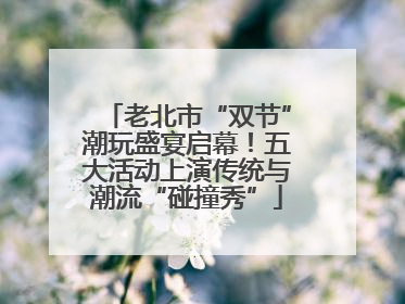 老北市“双节”潮玩盛宴启幕！五大活动上演传统与潮流“碰撞秀”