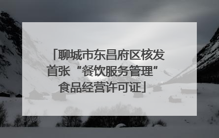 聊城市东昌府区核发首张“餐饮服务管理”食品经营许可证