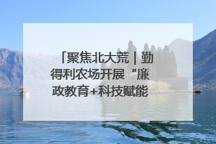 聚焦北大荒｜勤得利农场开展“廉政教育+科技赋能”主题党日活动