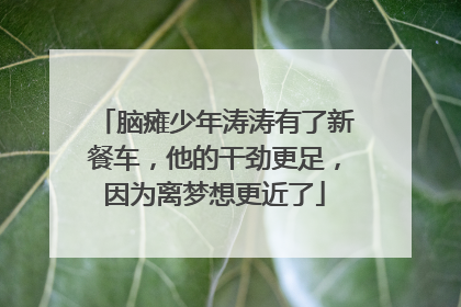 脑瘫少年涛涛有了新餐车，他的干劲更足，因为离梦想更近了