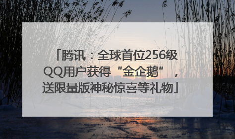 腾讯：全球首位256级QQ用户获得“金企鹅”，送限量版神秘惊喜等礼物