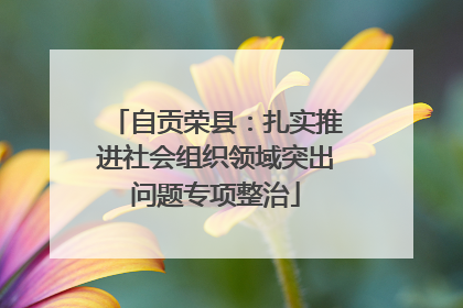自贡荣县：扎实推进社会组织领域突出问题专项整治