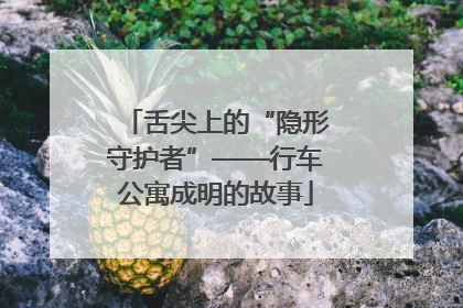 舌尖上的“隐形守护者”——行车公寓成明的故事
