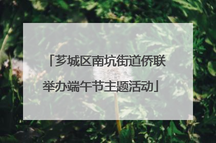 芗城区南坑街道侨联举办端午节主题活动