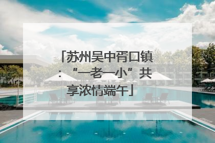 苏州吴中胥口镇：“一老一小”共享浓情端午