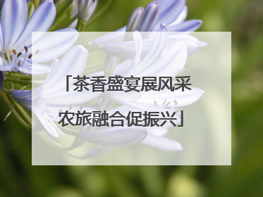 茶香盛宴展风采 农旅融合促振兴