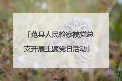 范县人民检察院党总支开展主题党日活动