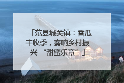范县城关镇：香瓜丰收季，奏响乡村振兴 “甜蜜乐章”