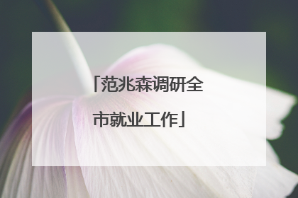 范兆森调研全市就业工作