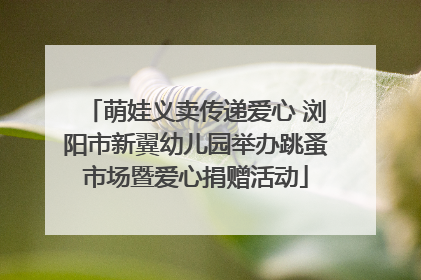 萌娃义卖传递爱心 浏阳市新翼幼儿园举办跳蚤市场暨爱心捐赠活动