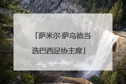 萨米尔·萨乌德当选巴西足协主席