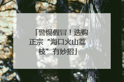 警惕假冒！选购正宗“海口火山荔枝”有妙招
