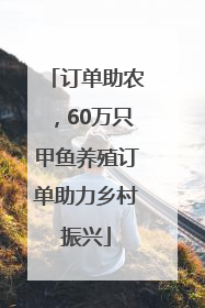 订单助农，60万只甲鱼养殖订单助力乡村振兴