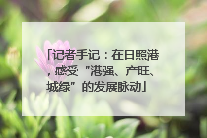 记者手记：在日照港，感受“港强、产旺、城绿”的发展脉动