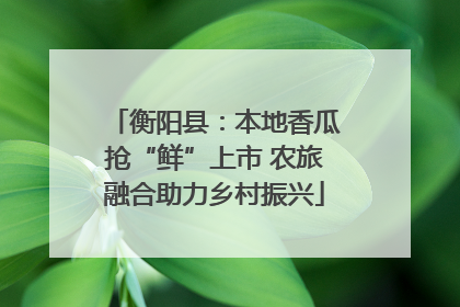 衡阳县：本地香瓜抢“鲜”上市 农旅融合助力乡村振兴