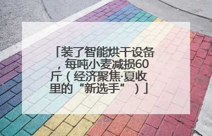 装了智能烘干设备，每吨小麦减损60斤（经济聚焦·夏收里的“新选手”）