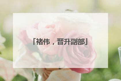 褚伟，晋升副部