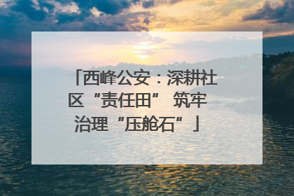 西峰公安：深耕社区“责任田” 筑牢治理“压舱石”