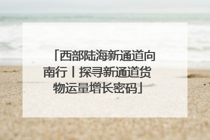 西部陆海新通道向南行丨探寻新通道货物运量增长密码