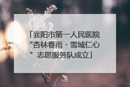 襄阳市第一人民医院“杏林春雨・雪域仁心”志愿服务队成立