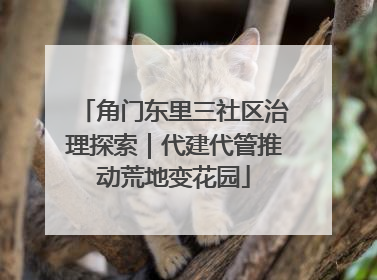 角门东里三社区治理探索｜代建代管推动荒地变花园