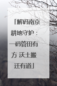 解码南京耕地守护：一码管田有方 沃土搬迁有道